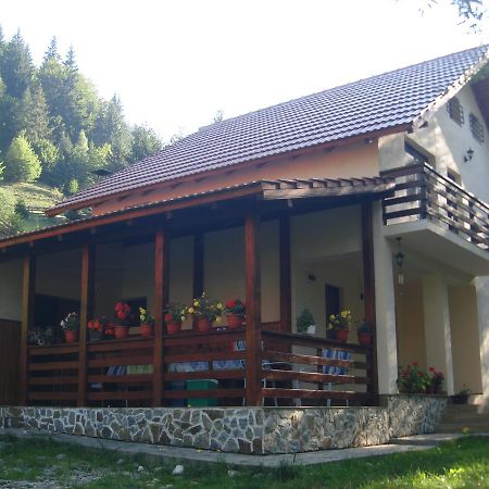 Casa Maia Dambovicioara Hotell Exteriör bild