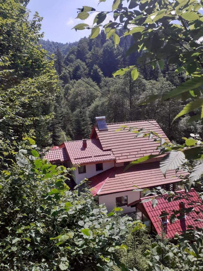 Casa Maia Dambovicioara Hotell Exteriör bild