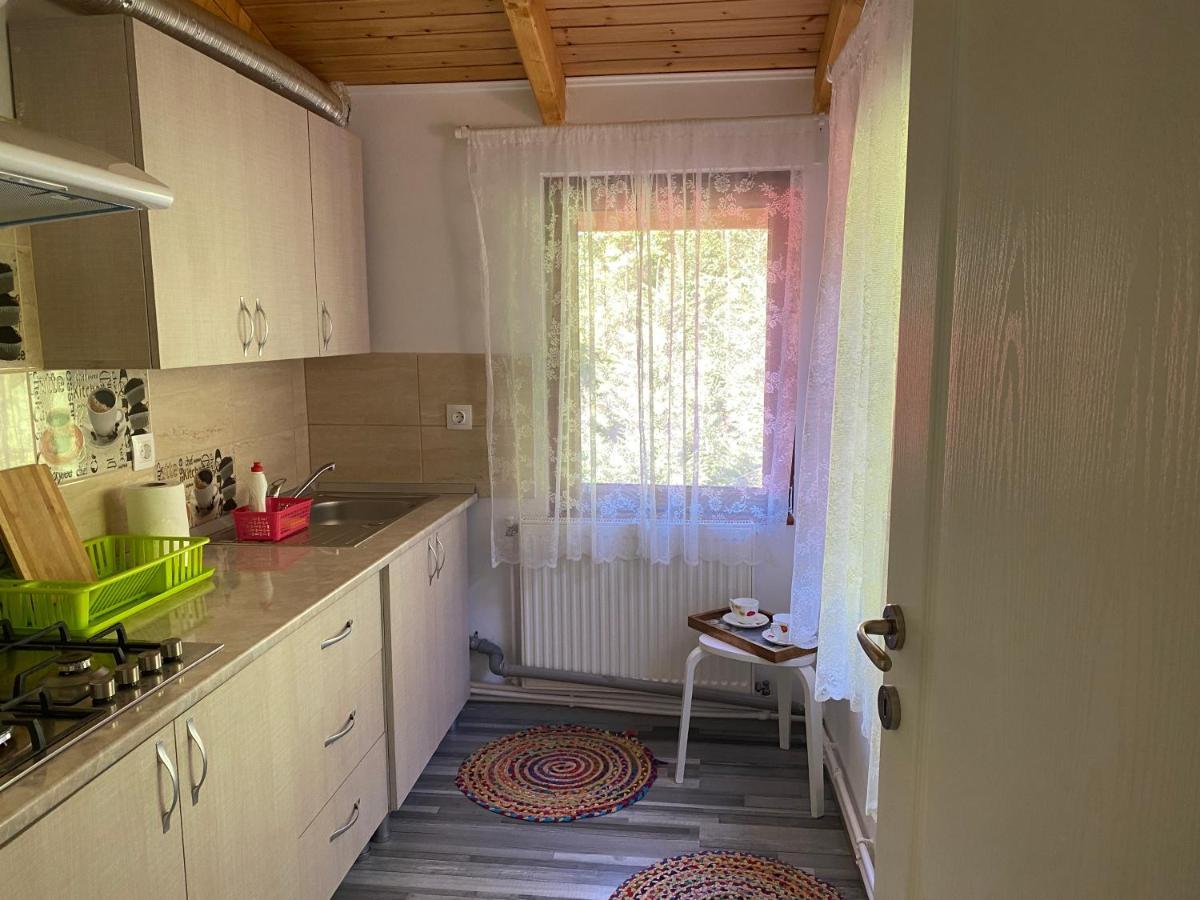 Casa Maia Dambovicioara Hotell Exteriör bild