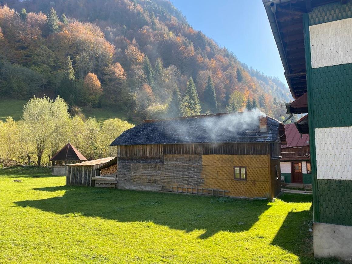 Casa Maia Dambovicioara Hotell Exteriör bild