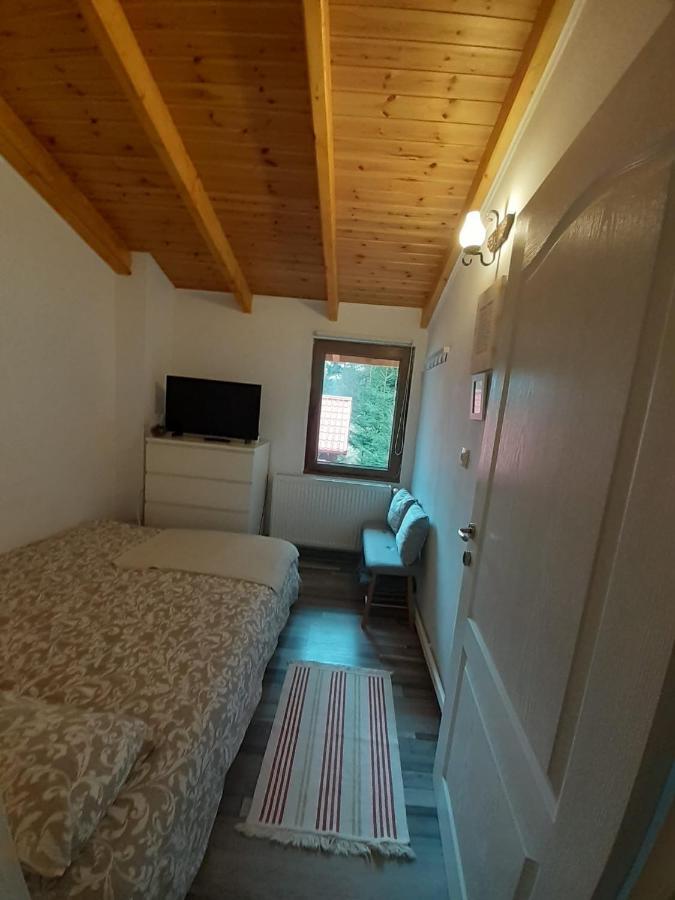Casa Maia Dambovicioara Hotell Exteriör bild