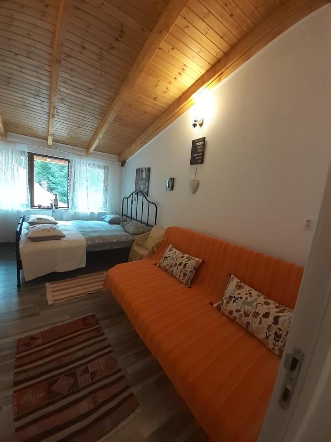 Casa Maia Dambovicioara Hotell Exteriör bild