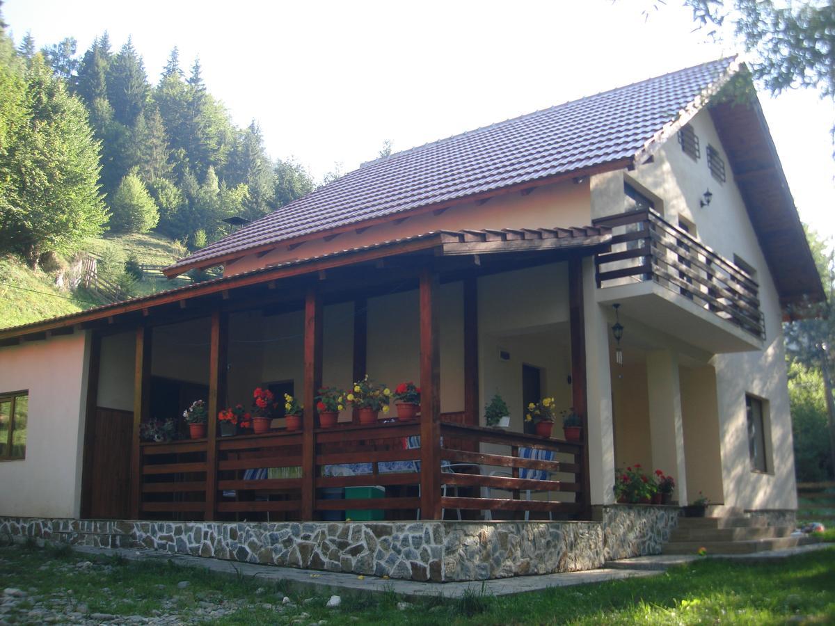 Casa Maia Dambovicioara Hotell Exteriör bild