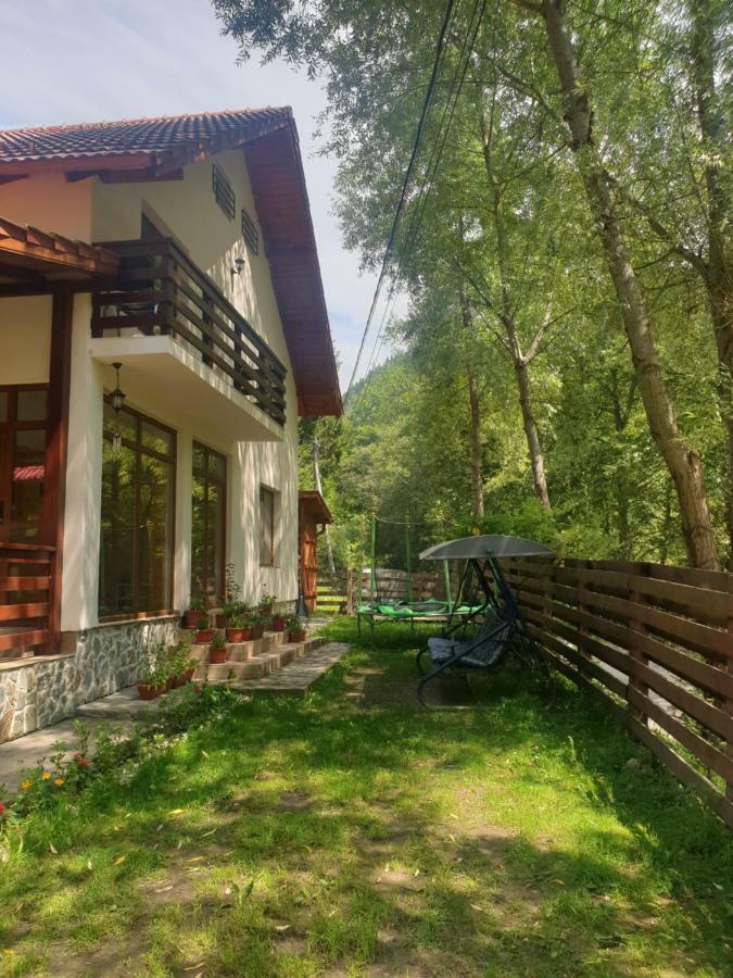 Casa Maia Dambovicioara Hotell Exteriör bild