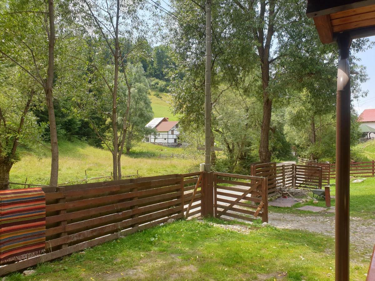 Casa Maia Dambovicioara Hotell Exteriör bild